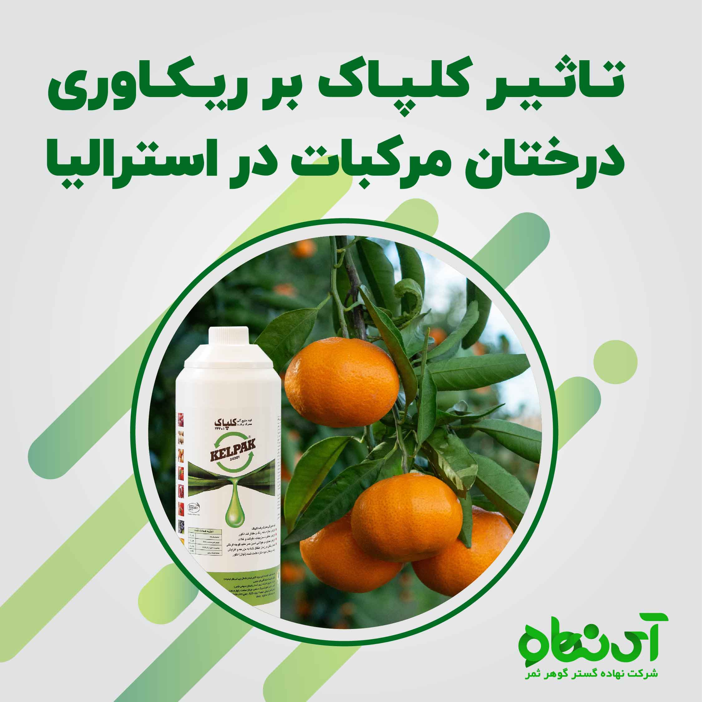 تاثیر کلپاک بر ریکاوری درختان مرکبات در استرالیا